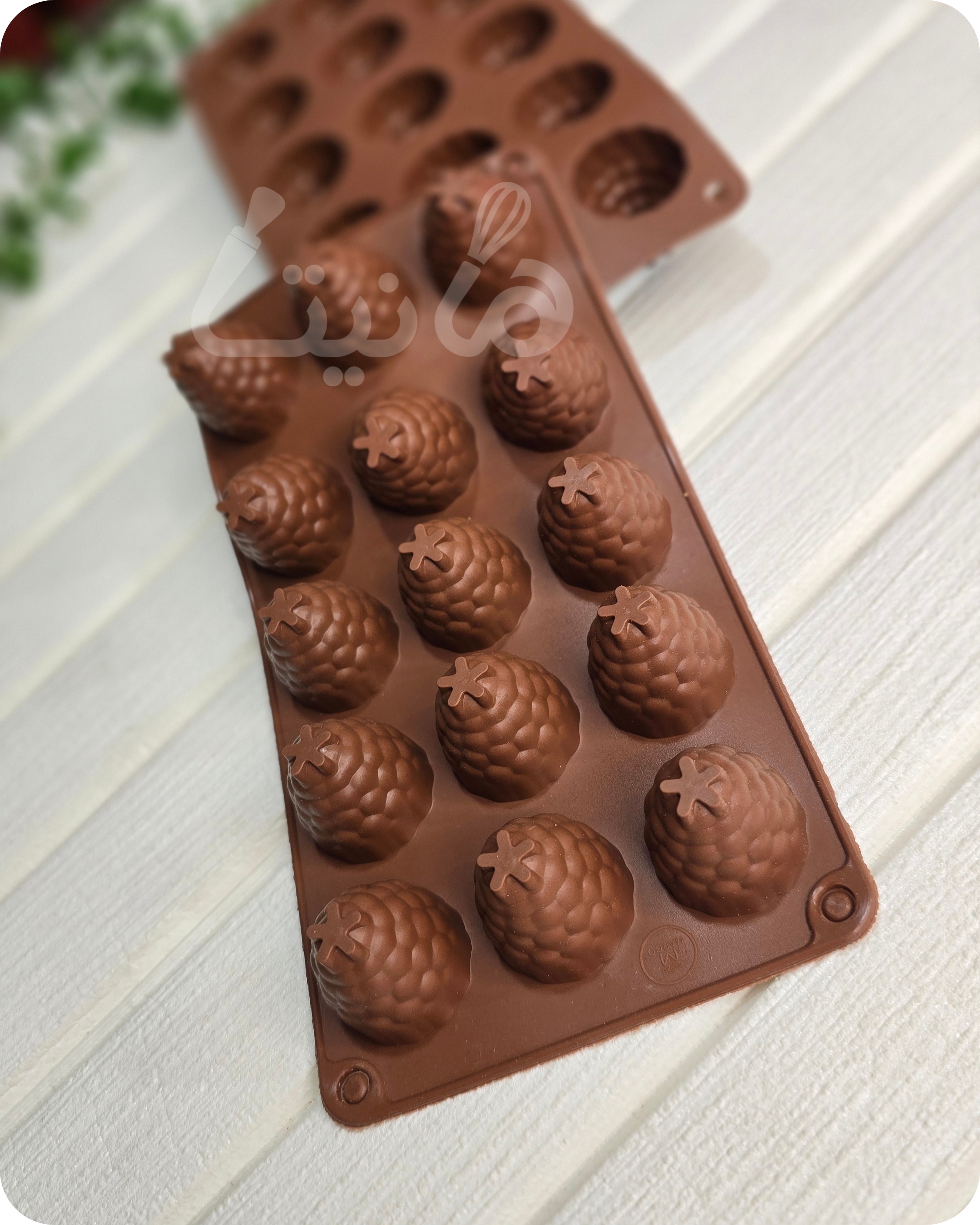 قالب سیلیکونی شکلات رز بری